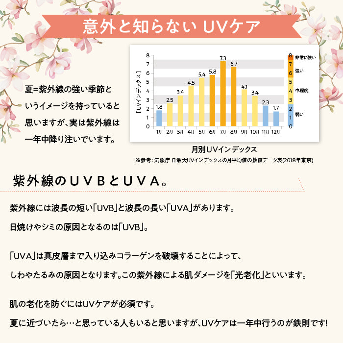 【SALE】10%オフ LNC UVプロテクター 40ml×3 / プラセンタ配合の日焼け止め ノンケミカル処方 紫外線吸収剤不使用