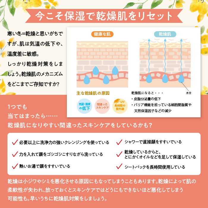 【SALE】10%オフ LNC UVプロテクター 40ml×3 / プラセンタ配合の日焼け止め ノンケミカル処方 紫外線吸収剤不使用