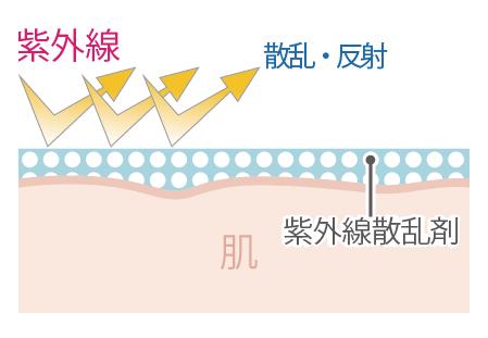 【SALE】10%オフ LNC UVプロテクター 40ml×3 / プラセンタ配合の日焼け止め ノンケミカル処方 紫外線吸収剤不使用