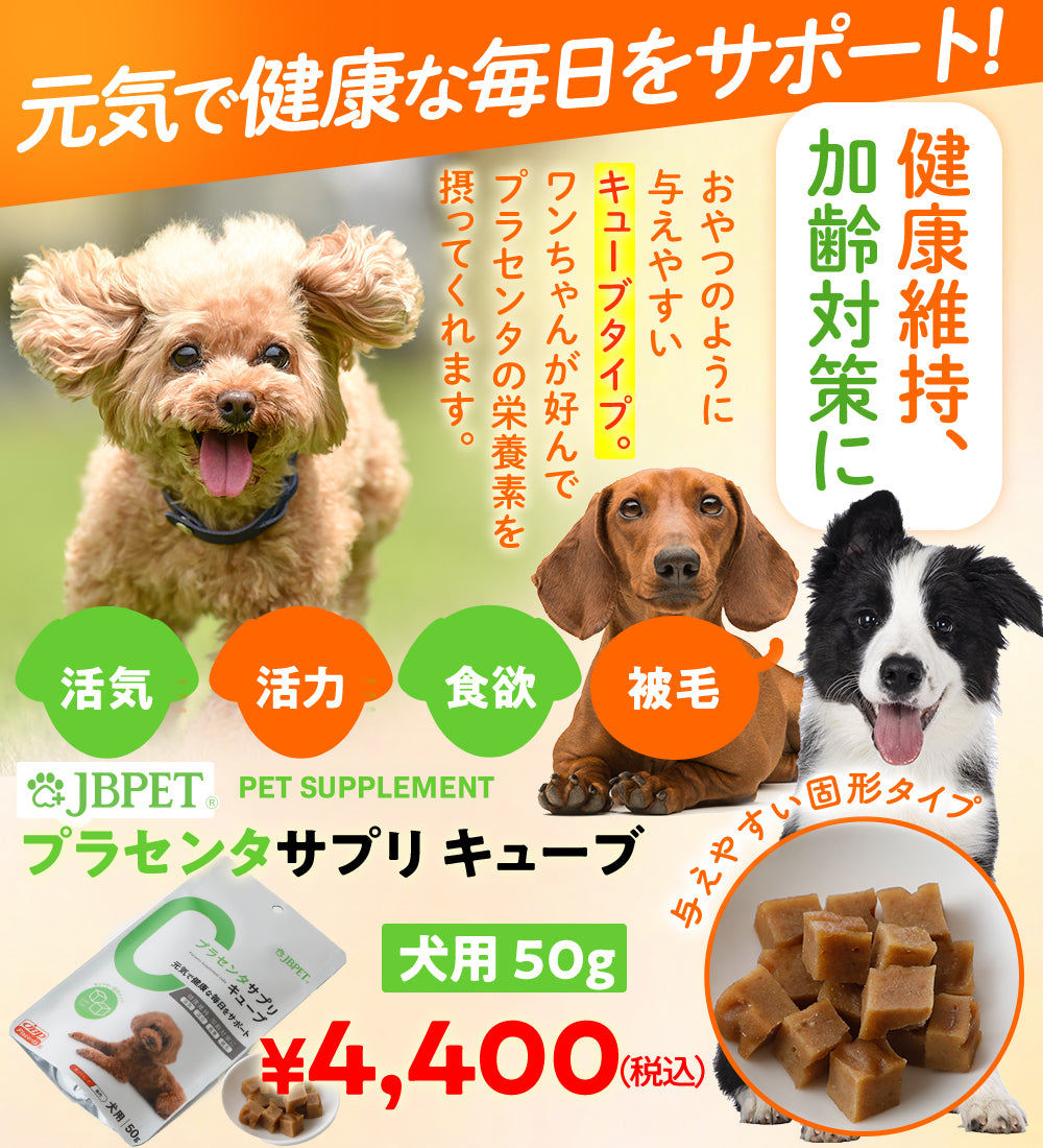 【近日発売】JBPET プラセンタサプリ キューブ 50g