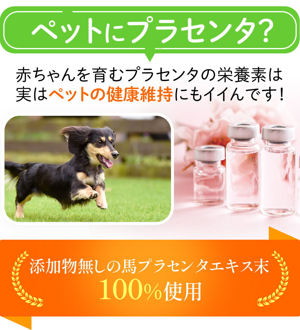 ペットにプラセンタ? 赤ちゃんを育むプラセンタの栄養素は実はペットの健康維持にもイイんです!添加物無しの馬プラセンタエキス末1100%使用