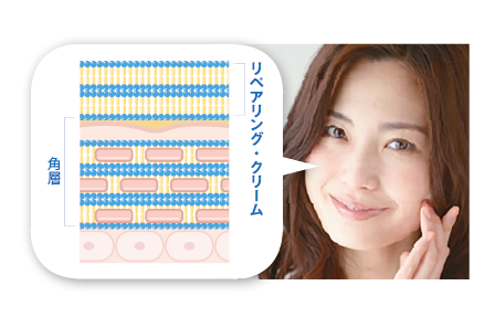 リペアリングクリームは角層と同じラメラ構造