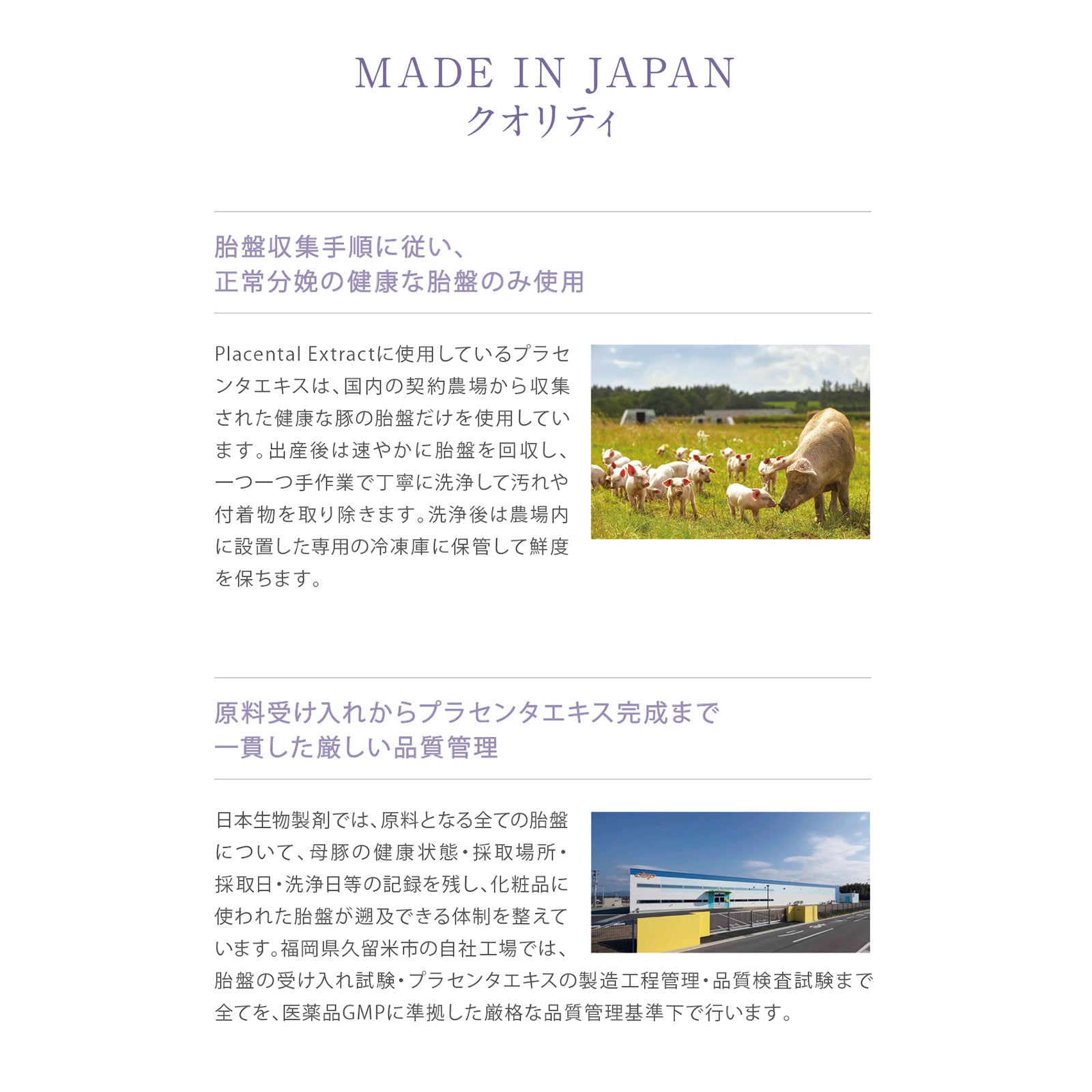 長年の研究から導き出した「肌に適した濃度」に調整

ひとことに「プラセンタ原液」と言ってもその濃度は商品によって異なります。プラセンタ原液は、薄いと効果を実感しにくく、濃すぎると肌に違和感があったり乾燥したりと肌トラブルになることも。
Placental Extractは、日本生物製剤の長年の研究結果から導き出された「肌に適した濃度」に調整してあります。

独自技術で「胎盤」「サイタイ」「羊膜」からそれぞれの特徴的成分を同時抽出

プラセンタエキスの機能は、含有されている多様な成分の複合作用にあると言われています。ただし、その含有成分は、製造方法によって大きな違いが出ます。日本生物製剤の製造するプラセンタエキスには、アミノ酸・低分子ペプチド・高分子ペプチドなど、様々な生理活性作用の期待される物質群がバランス良く含まれています。更に、活性ペプチドが豊富な胎盤・ヒアルロン酸など保湿成分を豊富に含むサイタイ・成長因子が豊富な羊膜の3つの部位を原料として、それぞれの特徴的な成分を同時抽出しました。

プラセンタ由来成分（高分子ペプチド、低分子ペプチド、アミノ酸）

サイタイ由来成分

羊膜由来成分