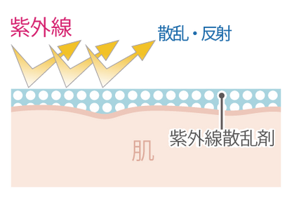 【SALE】10％オフ LNC UVプロテクター 40ml×3 / プラセンタ配合の日焼け止め ノンケミカル処方 紫外線吸収剤不使用