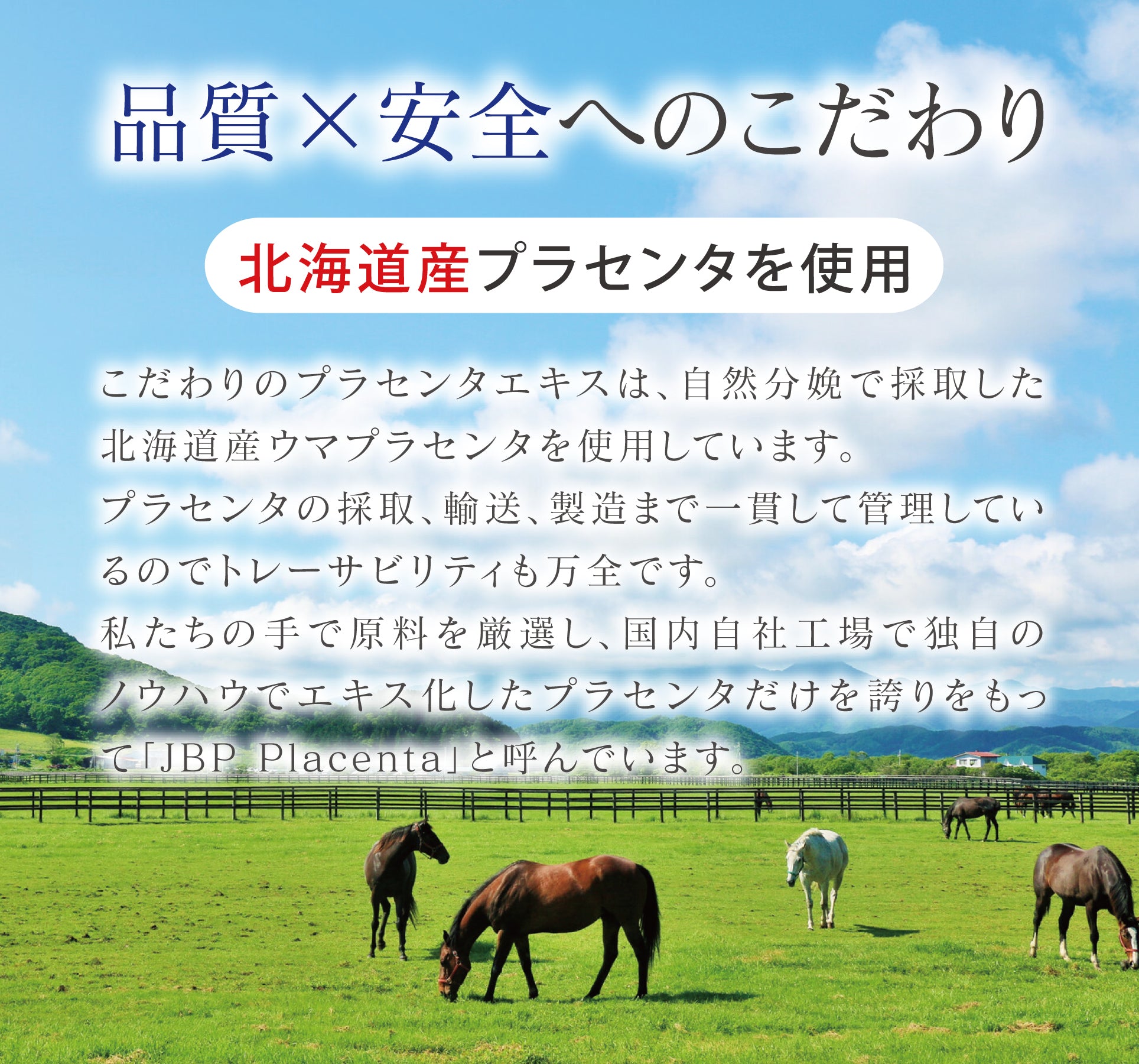 LNC モイスチャーローション 120ml / 馬プラセンタ配合 潤い