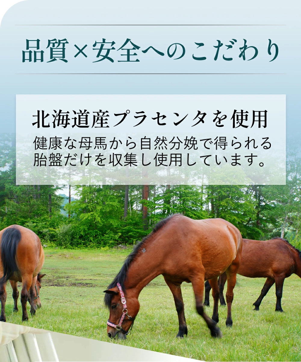 北海道産プラセンタを使用、健康な母馬から自然分娩で得られるた胎盤だけを収集し使用しています。