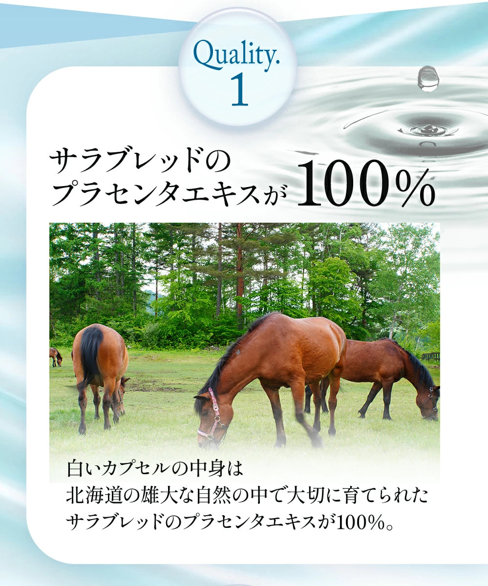 北海道産サラブレットのプラセンタエキスが100％