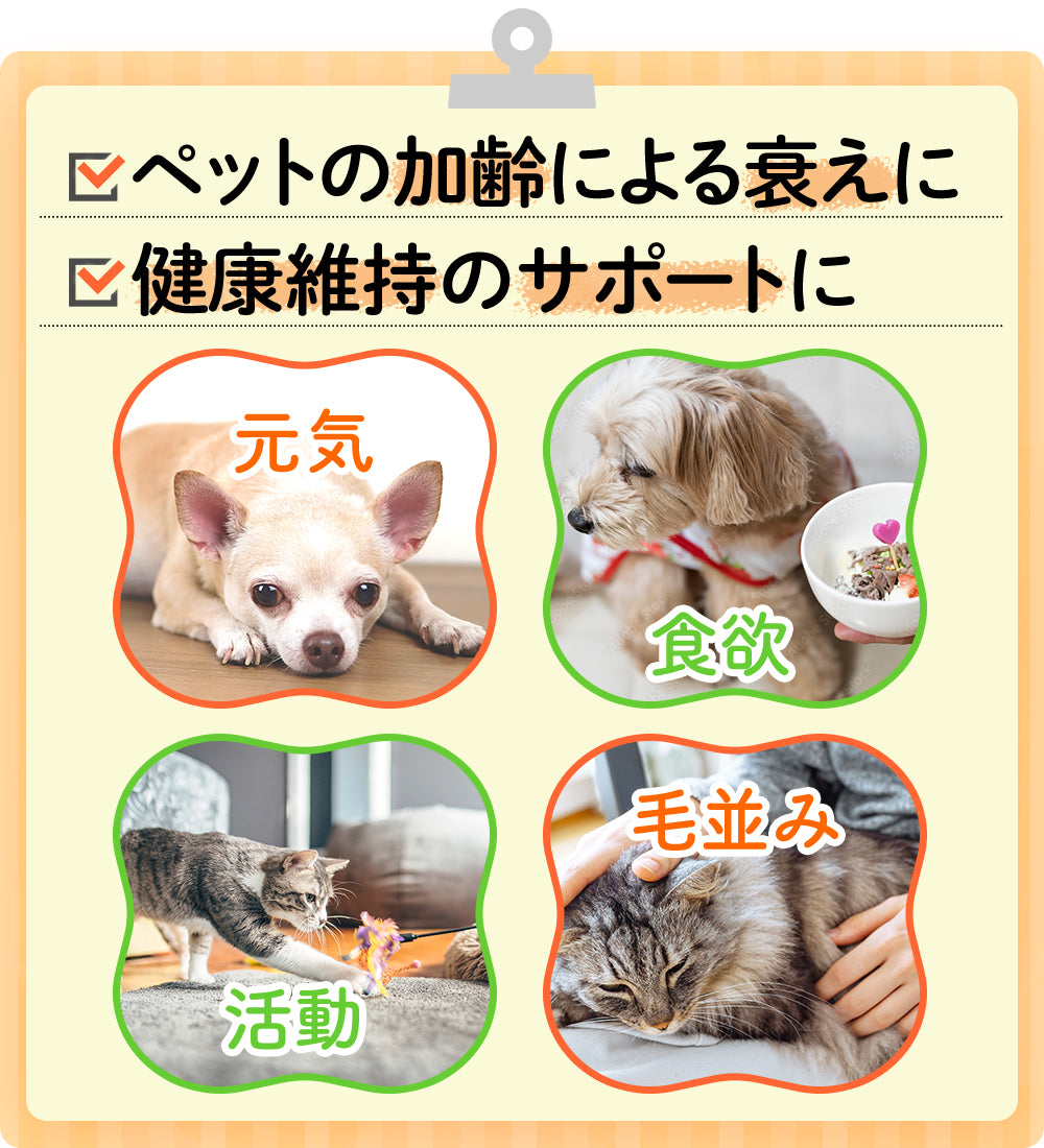 JBPET プラセンタサプリ ペースト 15包×2 愛猫の健康と美しい毛艶に（馬プラセンタ配合）