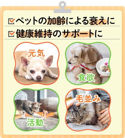 JBPET プラセンタサプリ ペースト 15包×2 愛猫の健康と美しい毛艶に（馬プラセンタ配合）