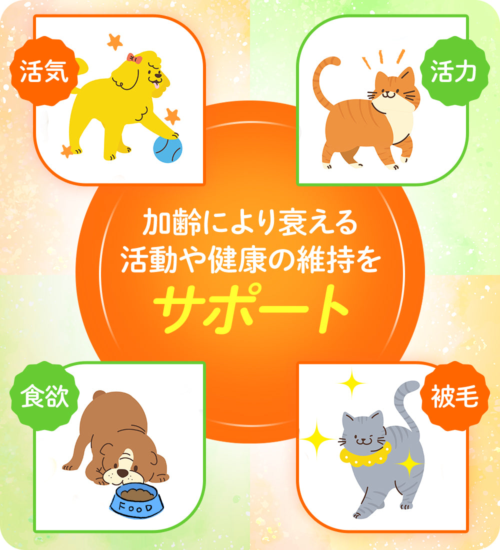 JBPET プラセンタサプリ ペースト 15包×2 愛猫の健康と美しい毛艶に（馬プラセンタ配合）