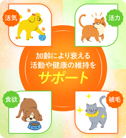 JBPET プラセンタサプリ ペースト 15包×2 愛猫の健康と美しい毛艶に（馬プラセンタ配合）