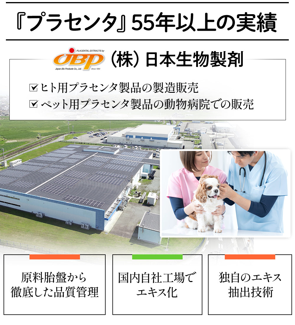 JBPET プラセンタサプリ ペースト 15包×2 愛猫の健康と美しい毛艶に（馬プラセンタ配合）